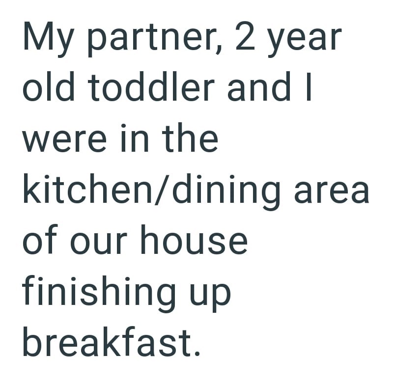 My partner, 2 year old toddler and I were in the kitchen/dining area of our house finishing up breakfast.