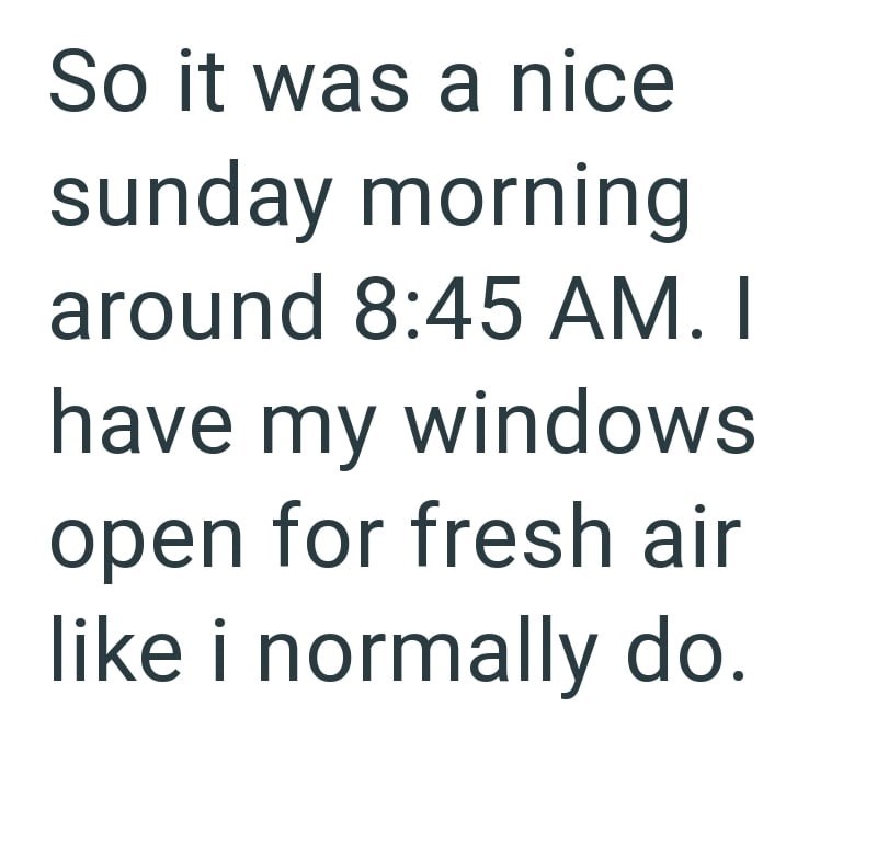 So it was a nice sunday morning around 8:45 AM. I have my windows open for fresh air like i normally do.