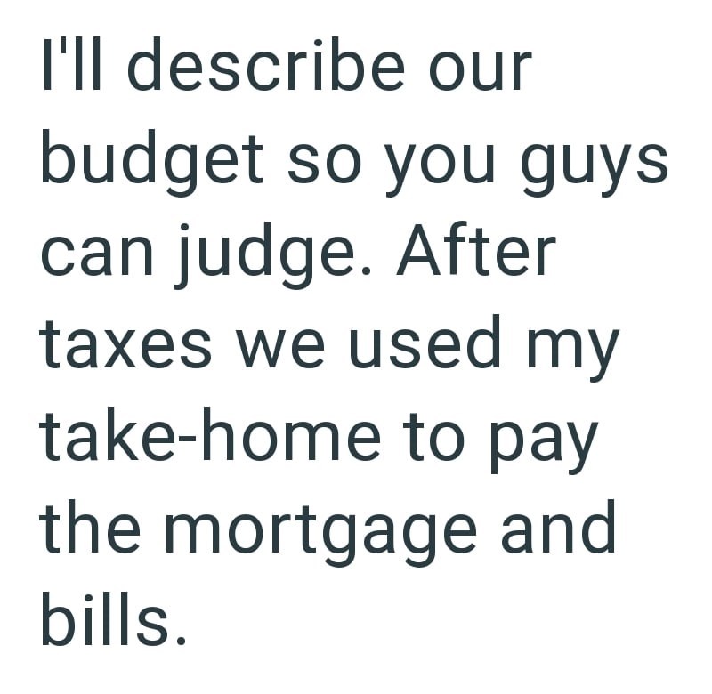 I'll describe our budget so you guys can judge. After taxes we used my take-home to pay the mortgage and bills.