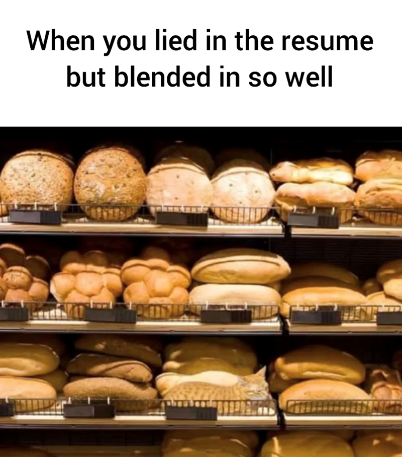 When you lied in the resume but blended in so well