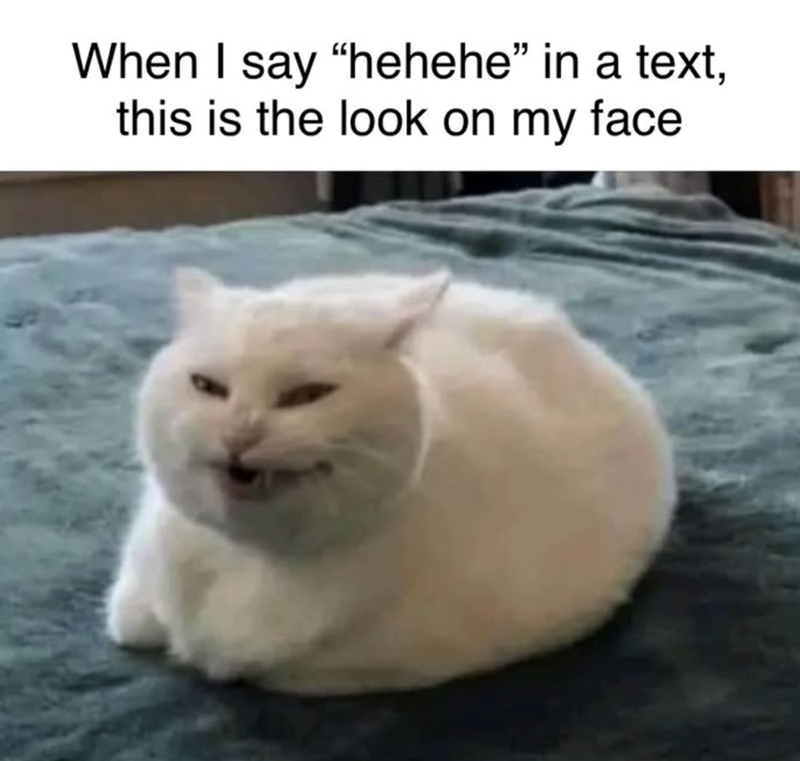 When I say "hehehe" in a text, this is the look on my face