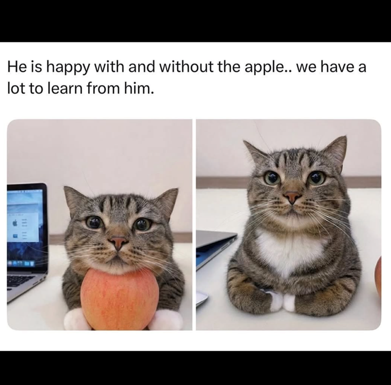 He is happy with and without the apple.. we have a lot to learn from him.