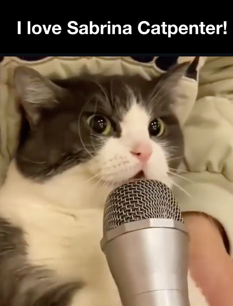 I love Sabrina Catpenter!