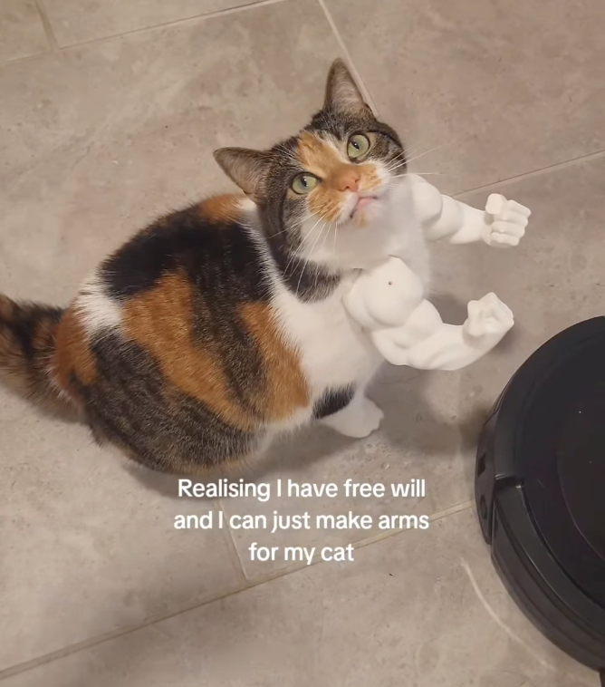 Realising I have free will and I can just make arms for my cat