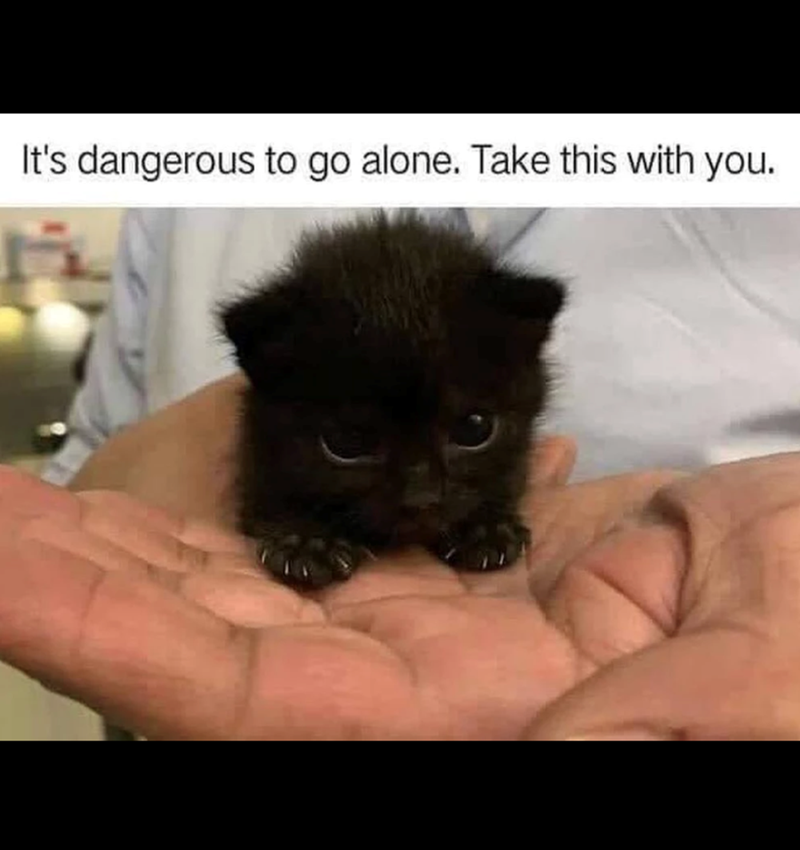 It's dangerous to go alone. Take this with you.