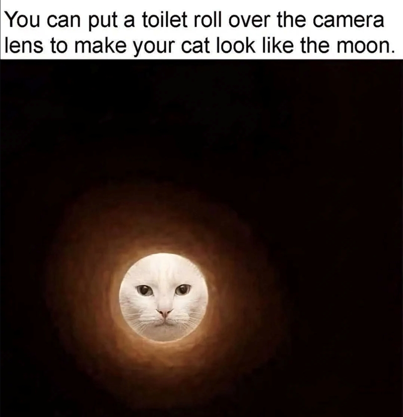 You can put a toilet roll over the camera lens to make your cat look like the moon.