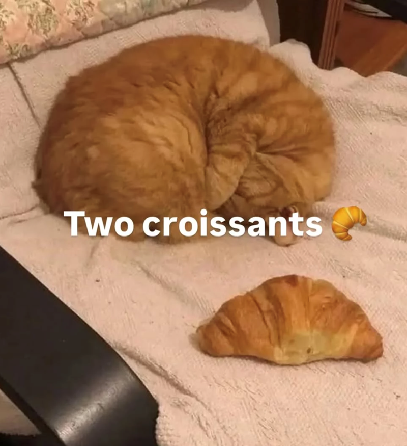 Two croissants