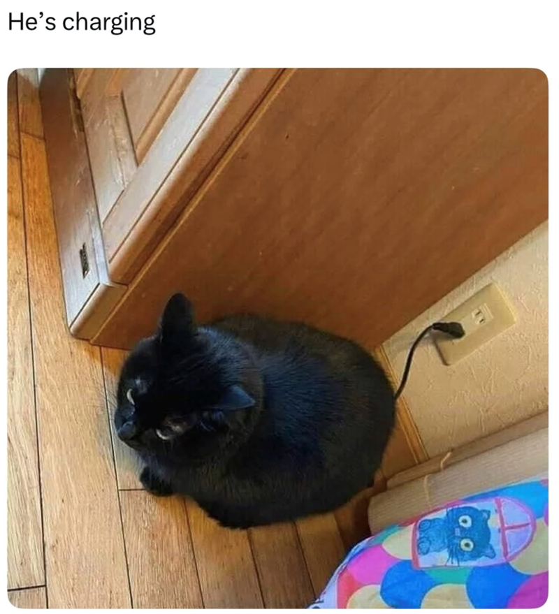 He's charging