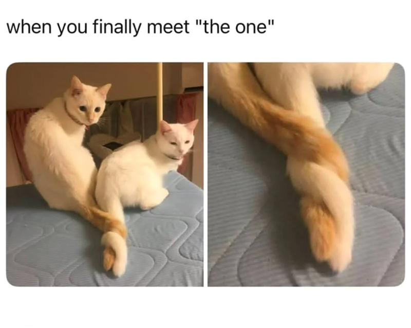 when you finally meet "the one"