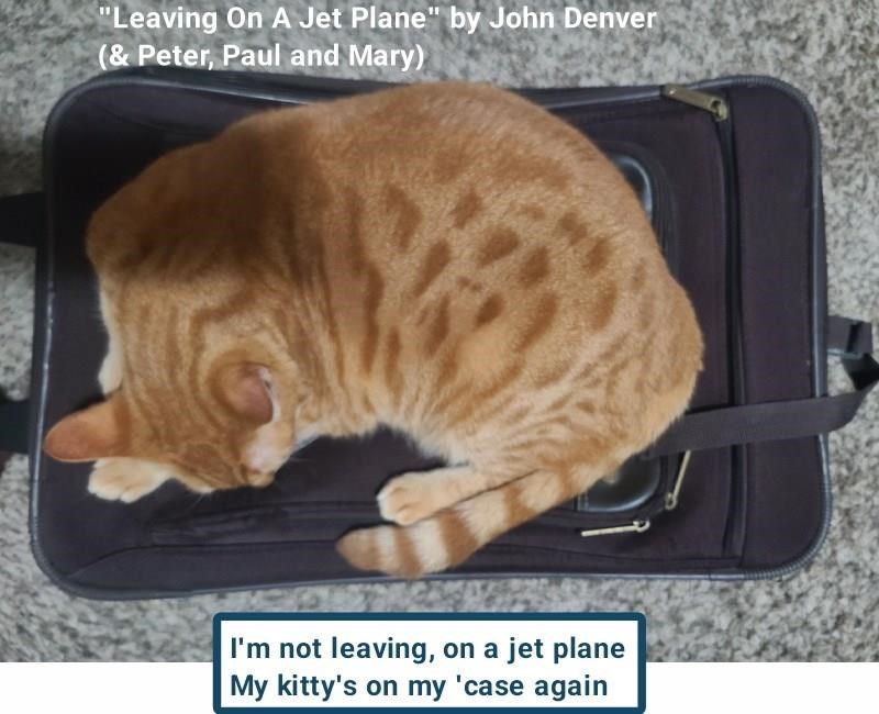 Cheezburger Image 10618337024