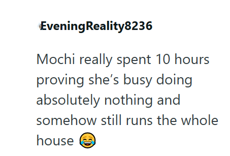 Evening Reality8236 Mochi really spent 10 hours proving she's busy doing absolutely nothing and somehow still runs the whole house