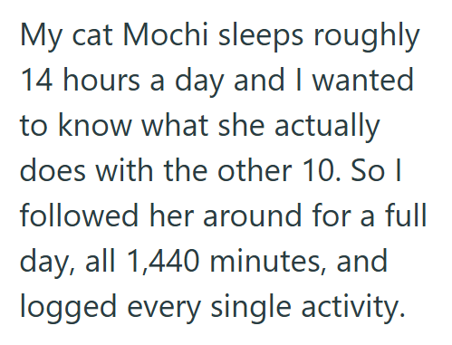 My cat Mochi sleeps roughly 14 hours a day and I wanted to know what she actually does with the other 10. So I followed her around for a full day, all 1,440 minutes, and logged every single activity.