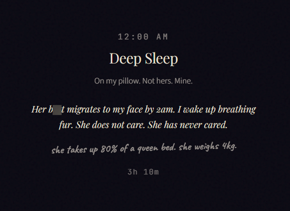 12:00 AM Deep Sleep On my pillow. Not hers. Mine. Her bat migrates to my face by 2am. I wake up breathing fur. She does not care. She has never cared. she takes up 80% of a queen bed. she weighs 4kg. 3h 10m