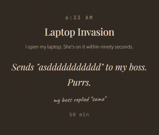 6:33 AM Laptop Invasion I open my laptop. She's on it within ninety seconds. Sends "asddddddddddd" to my boss. Purrs. my boss replied "same" 50 min