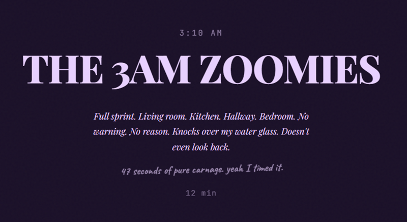 3:10 AM THE 3AM ZOOMIES Full sprint. Living room. Kitchen. Hallway. Bedroom. No warning. No reason. Knocks over my water glass. Doesn't even look back. 47 seconds of pure carnage. yeah I timed it. 12 min