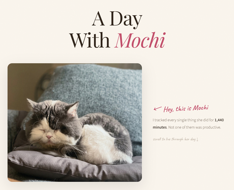 A Day With Mochi Hey, this is Mochi I tracked every single thing she did for 1,440 minutes. Not one of them was productive. scroll to live through her day ↓
