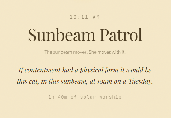 10:11 AM Sunbeam Patrol The sunbeam moves. She moves with it. If contentment had a physical form it would be this cat, in this sunbeam, at 10am on a Tuesday. 1h 40m of solar worship