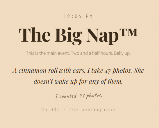 12:06 PM The Big Nap™ This is the main event. Two and a half hours. Belly up. A cinnamon roll with ears. I take 47 photos. She doesn't wake up for any of them. I counted. 47 photos. 2h 30m the centrepiece