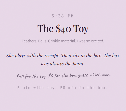 3:36 PM The $40 Toy Feathers. Bells. Crinkle material. I was so excited. She plays with the receipt. Then sits in the box. The box was always the point. $40 for the toy. $0 for the box. guess which won. 5 min with toy. 50 min in the box.