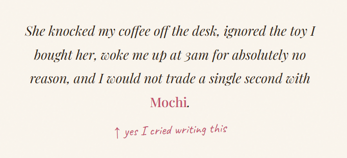 She knocked my coffee off the desk, ignored the toy I bought her, woke me up at 3am for absolutely no reason, and I would not trade a single second with Mochi. 1 yes I cried writing this
