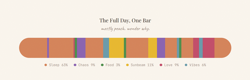 The Full Day, One Bar mostly peach. wonder why. • Sleep 63% • Chaos 9% Food 3% Sunbeam 11% ● Love 9% • Vibes 6%