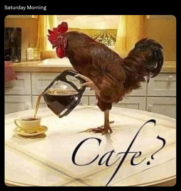 Saturday Morning Cafe?