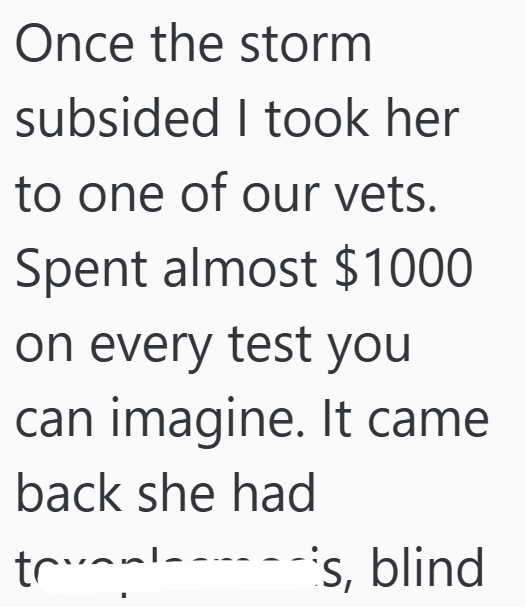 Once the storm subsided I took her to one of our vets. Spent almost $1000 on every test you can imagine. It came back she had trual S, is, blind