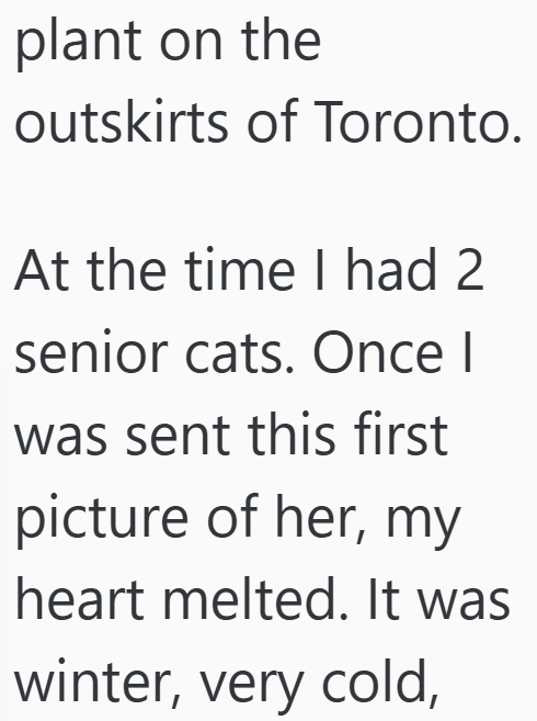 plant on the outskirts of Toronto. At the time I had 2 senior cats. Once I was sent this first picture of her, my heart melted. It was winter, very cold,