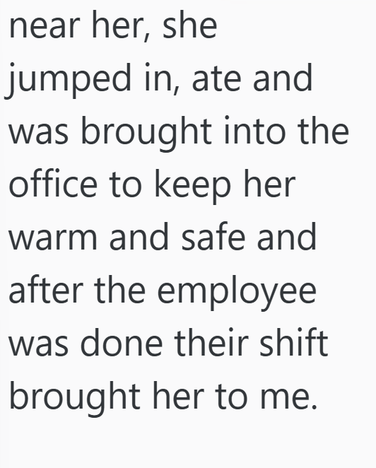 near her, she jumped in, ate and was brought into the office to keep her warm and safe and after the employee was done their shift brought her to me.