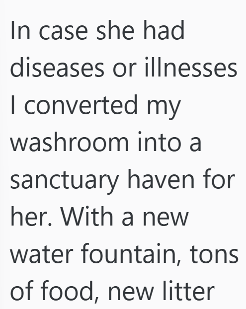 In case she had diseases or illnesses I converted my washroom into a sanctuary haven for her. With a new water fountain, tons of food, new litter