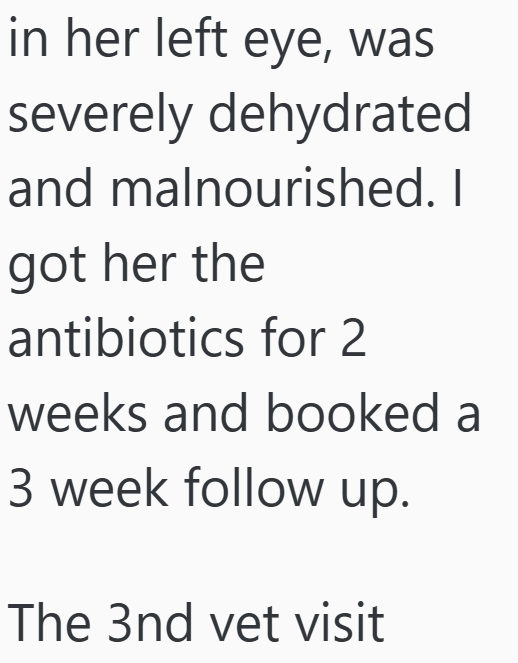 in her left eye, was severely dehydrated and malnourished. I got her the antibiotics for 2 weeks and booked a 3 week follow up. The 3nd vet visit
