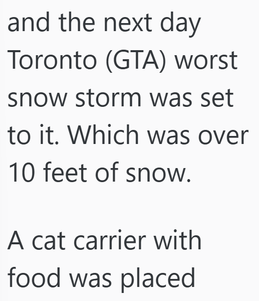 and the next day Toronto (GTA) worst snow storm was set to it. Which was over 10 feet of snow. A cat carrier with food was placed