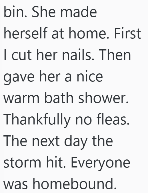 bin. She made herself at home. First I cut her nails. Then gave her a nice warm bath shower. Thankfully no fleas. The next day the storm hit. Everyone was homebound.