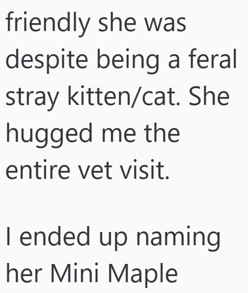 friendly she was despite being a feral stray kitten/cat. She hugged me the entire vet visit. I ended up naming her Mini Maple