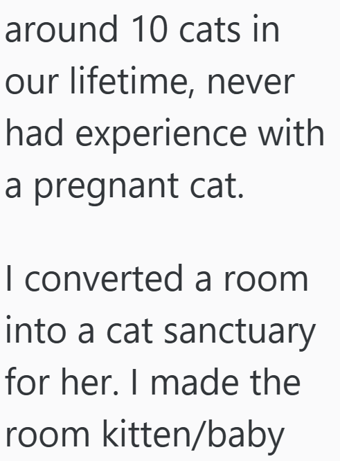 around 10 cats in our lifetime, never had experience with a pregnant cat. I converted a room into a cat sanctuary for her. I made the room kitten/baby