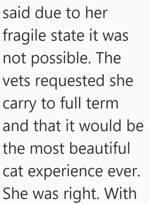 said due to her fragile state it was not possible. The vets requested she carry to full term and that it would be the most beautiful cat experience ever. She was right. With