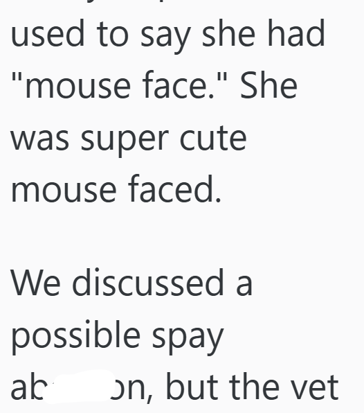 used to say she had "mouse face." She was super cute mouse faced. We discussed a possible spay ab on, but the vet