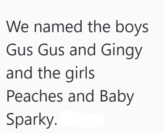 We named the boys Gus Gus and Gingy and the girls Peaches and Baby Sparky.