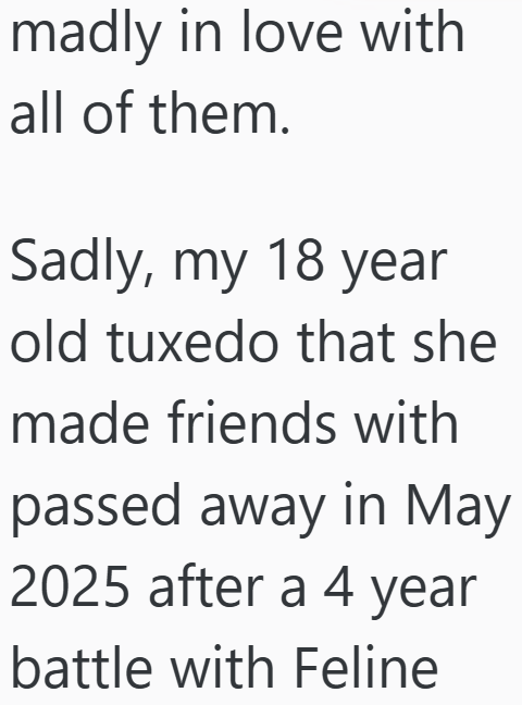 madly in love with all of them. Sadly, my 18 year old tuxedo that she made friends with passed away in May 2025 after a 4 year battle with Feline