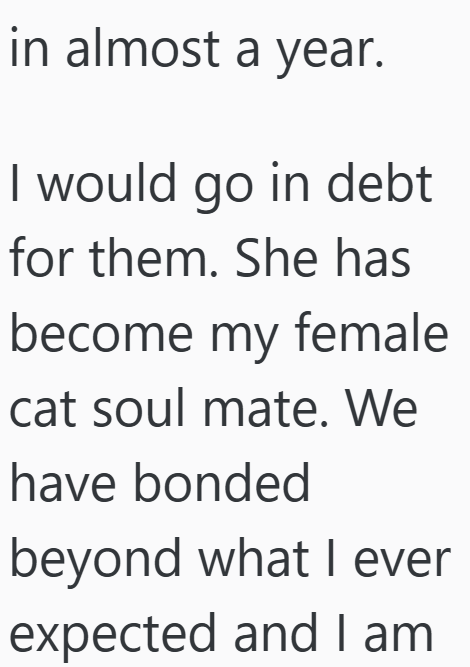 in almost a year. I would go in debt for them. She has become my female cat soul mate. We have bonded beyond what I ever expected and I am