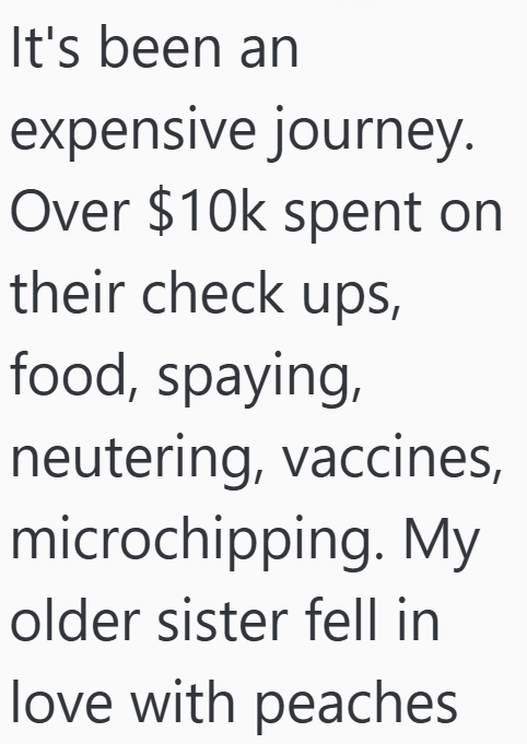It's been an expensive journey. Over $10k spent on their check ups, food, spaying, neutering, vaccines, microchipping. My older sister fell in love with peaches