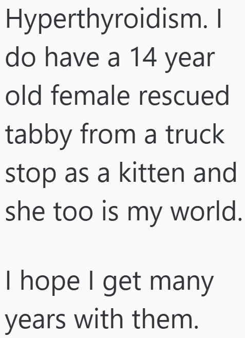 Hyperthyroidism. I do have a 14 year old female rescued tabby from a truck stop as a kitten and she too is my world. I hope I get many years with them.