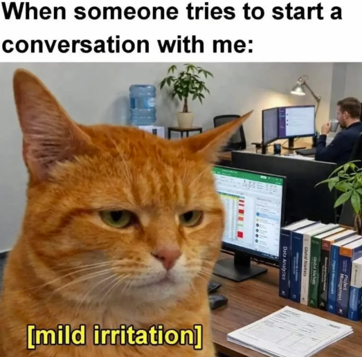 When someone tries to start a conversation with me: ARE [mild irritation] Probact