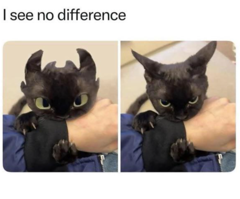 I see no difference