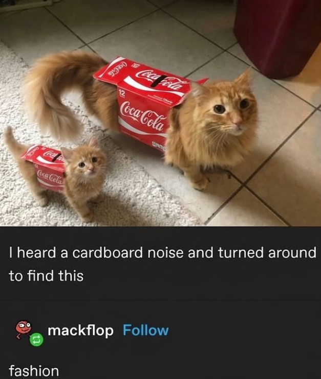 91751 Coca Cola Coca-Cola BADG Coca-Cola I heard a cardboard noise and turned around to find this mackflop Follow fashion