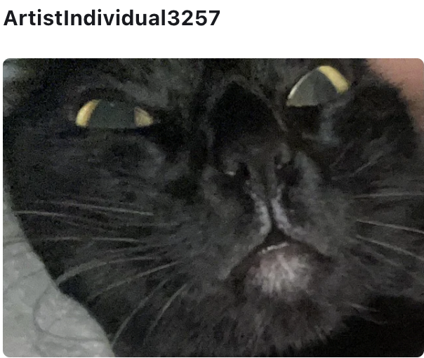 ArtistIndividual3257