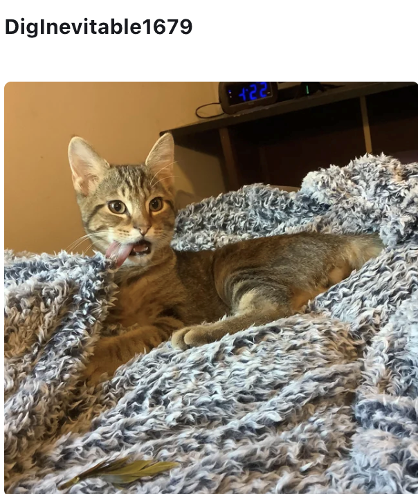 DigInevitable1679 +22