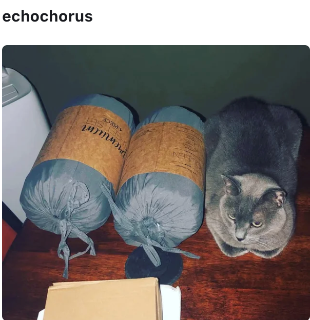 EEN premum SET 4.PIECE echochorus