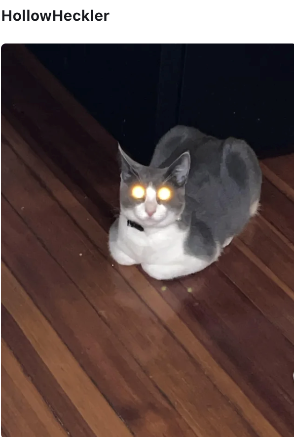 HollowHeckler