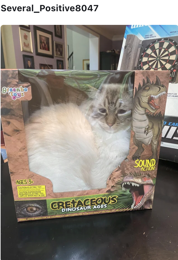 Several Positive8047 PRICE AND AANST |gazenbo Toys CKLIT LCD LAY COLORS ASY PLAYER REC P CAE AGES 3 CAUTION-ELECTRIC TOY CAUTION SUPERVISION REQUIRED ELECTRIC TOY UNPLUG WHEN NOT IN USE. CRETACEOUS DINOSAUR AGES ANIMAL SERIES DESIGN FOR THE CHILDREN ALL ARE FANGED AND THE HIGH QUALITY WEL SOUND ACTION